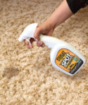 Stanley Steemer’s new Tile and Grout and Hardwood Floor Cleaning Services passed testing to be Certified <span style=