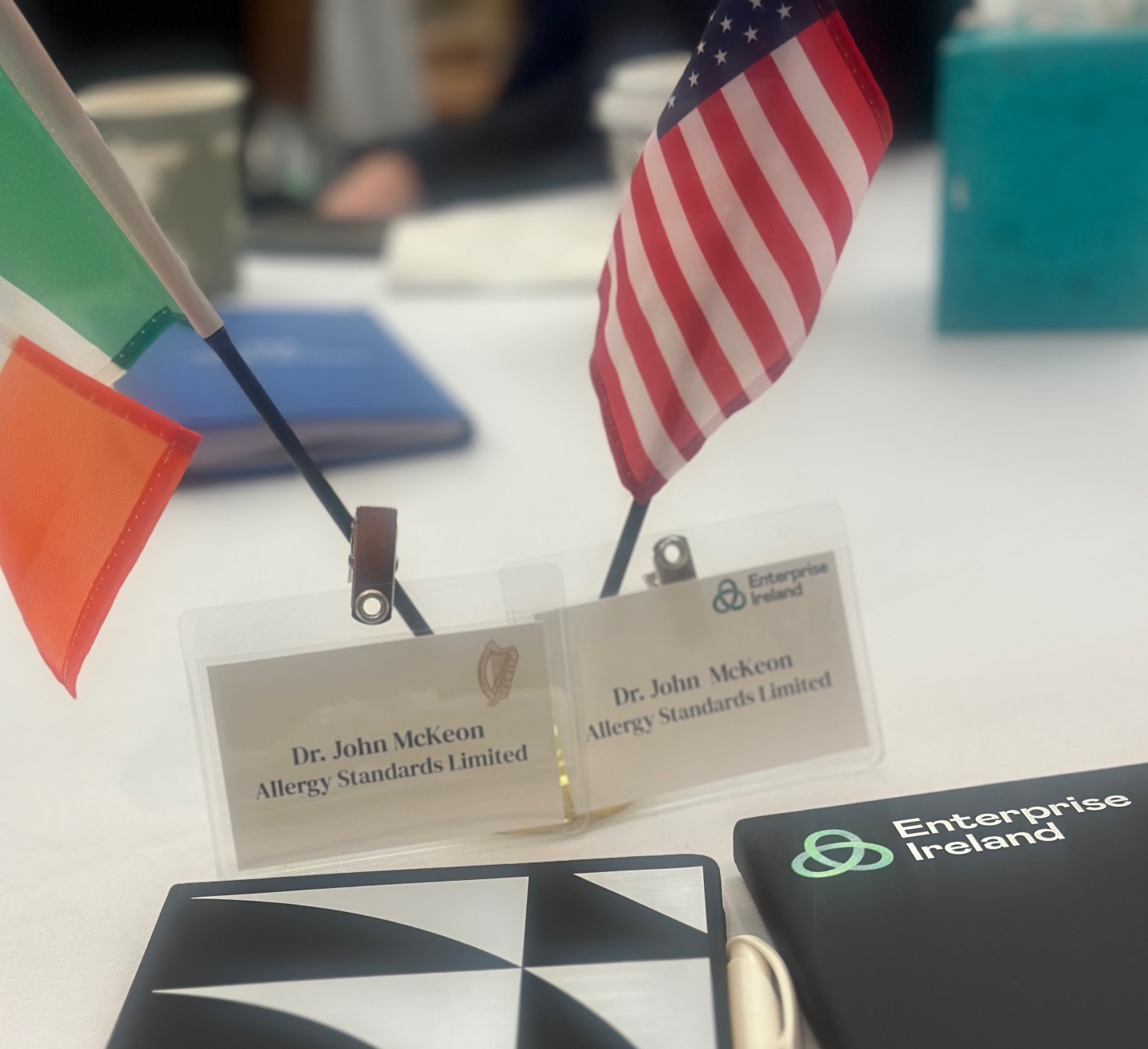 St. Patrick's Day Mission